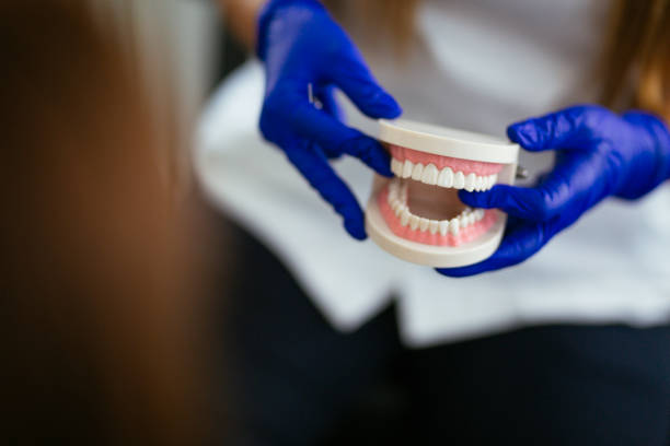 Best Dentures (Full and Partial)  in Pocasset, MA
